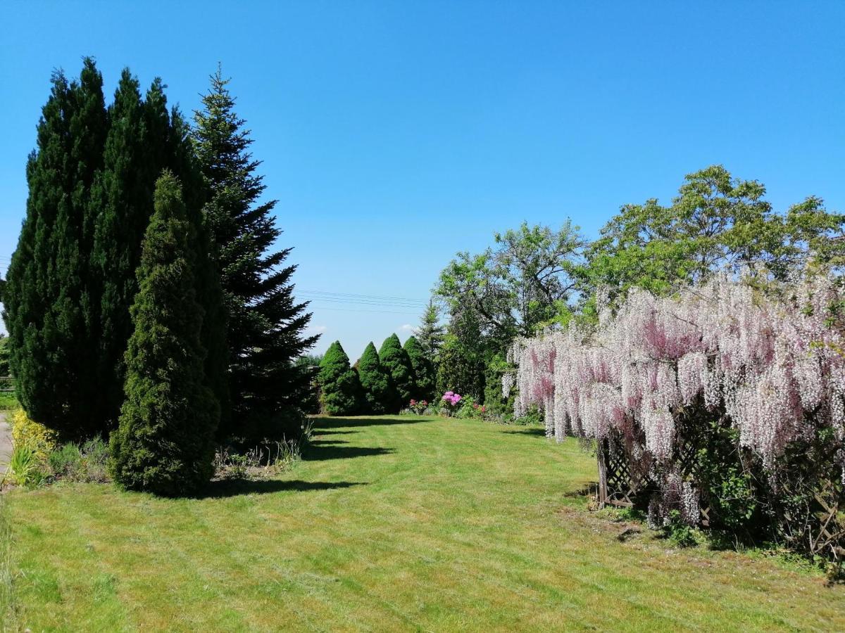 Villa Holma *** Agroturystyka Zbychowo Εξωτερικό φωτογραφία