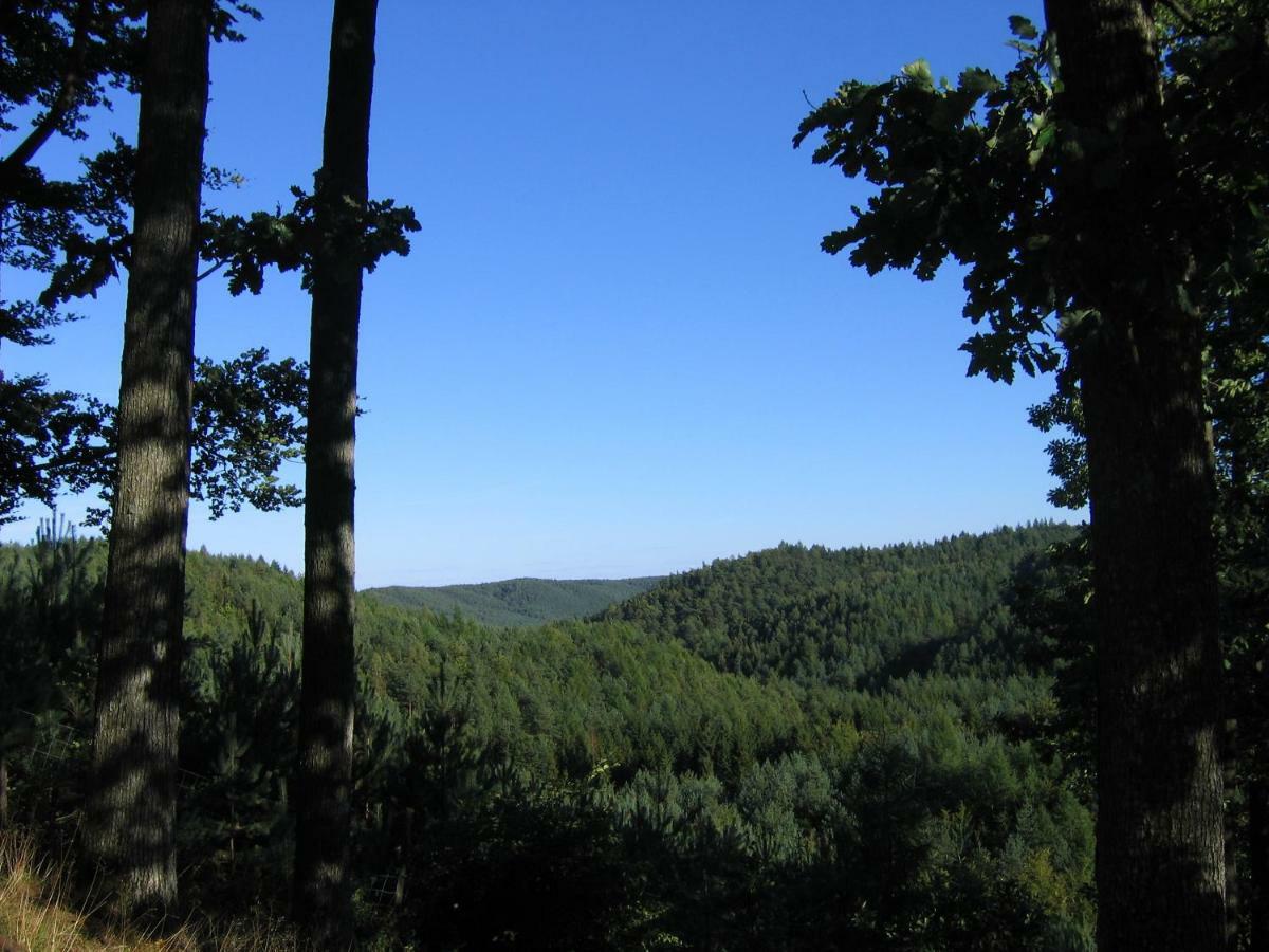 Villa Holma *** Agroturystyka Zbychowo Εξωτερικό φωτογραφία